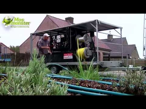 download lagu mp3 mp4 Mosmonster, download lagu Mosmonster gratis, unduh video klip Download Mosmonster Mp3 dan Mp4 Popular Gratis