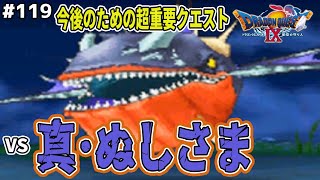 「幻の巨大魚を追え」クリア後のツォの浜で受けることができるクエストが重要とのことで挑んでみた結果…ドラゴンクエスト9星空の守り人を実況プレイ！