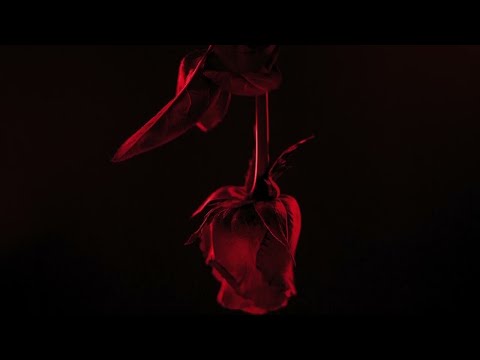 Video thumbnail for NIEMACIE