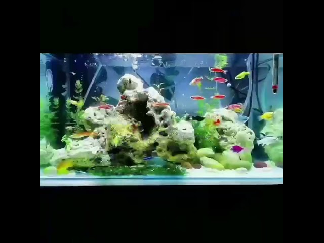 Vídeo relacionado con Aikeis 30 piezas Animales de Resina, Decoración para el Hogar Hazlo Tú Mismo, Mini Moños Decoración de Jardín, Micro Paisaje (15 Estilos)