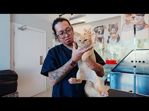 Isabella was Gigi's opposite 😹