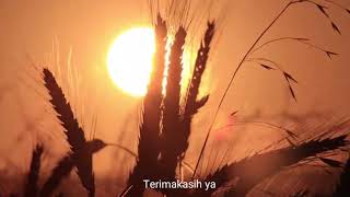 Download lagu kado terindah (kata untuk istri sedang hamil) mp3