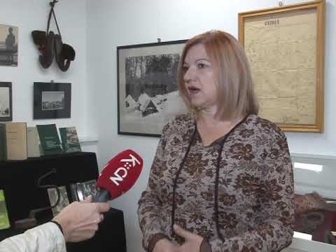 Muzejska delatnost u Raski