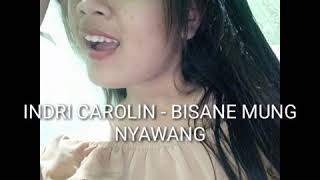 Download lagu INDRI CAROLIN - DJ BISANE MUNG NYAWANG mp3