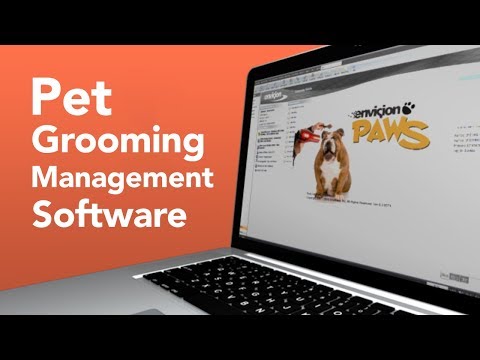 Video Image