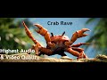 Crab Rave 10 Hours [Highest Quality]