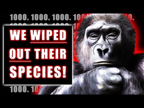 BIG FOOT - SCP-1000 - SCP BITESIZE