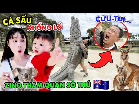 ZINO VISITS THE ZOO AND MEETS GIANT SALTWATER CROCODILES - VE VE CHANNEL