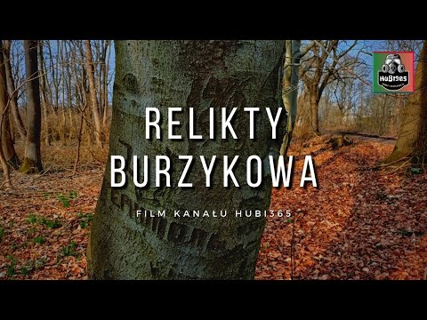 Co zostało z opuszczonej wsi Burzykowo? Odkrywamy relikty | URBEX