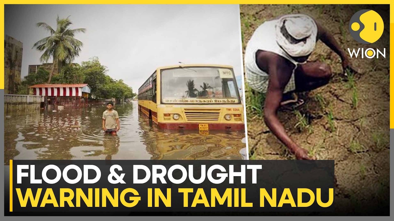Tamil Nadu: El Nino Panel Sounds Flood Warning During Northeast Monsoon | WION News