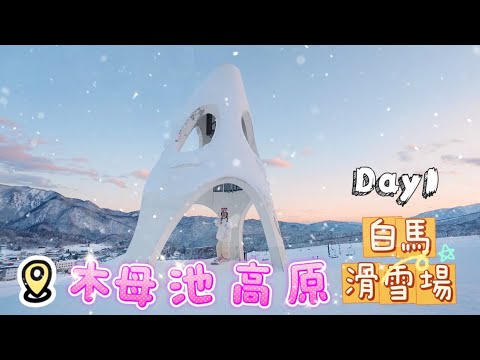 【2025日本白馬🇯🇵】EP1 栂池高原滑雪場🗻（下集）｜自學滑雪全紀錄｜鐘鳴之丘初學者天堂｜林間道🎄｜Snow board 單板滑雪🏂｜機場租車自駕🚗