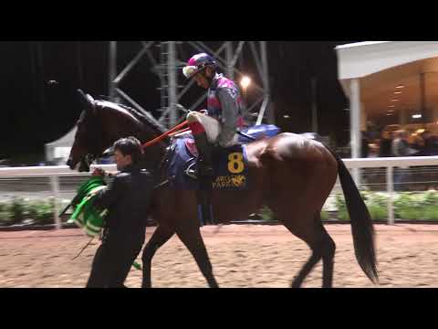 Breeders Trophy Classic 17