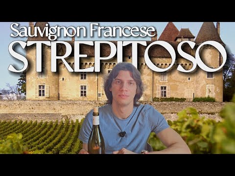 POUILLY FUMÉ Château De Tracy 2022 🥂🇫🇷👀