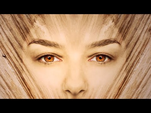 Neoteny | Definition and How It Relates To Evolution, Humans & Beauty? |  Neoteny in Humans