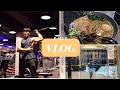 VLOG#43 | Daily Vlog | 健身 | 日常 | 美食 | 拉麵 | Lazy Bug