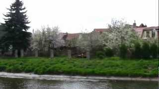 preview picture of video 'Strunkovice - cesta kolem řeky Blanice.'