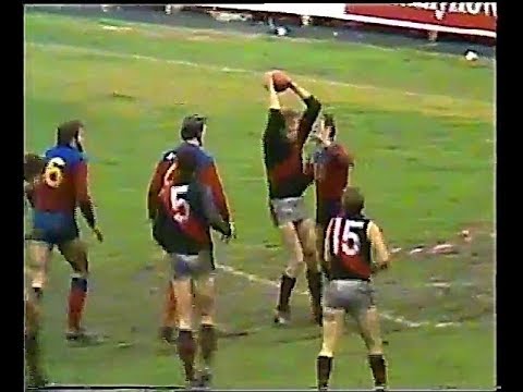 1981 rd 15 Fitzroy v Essendon