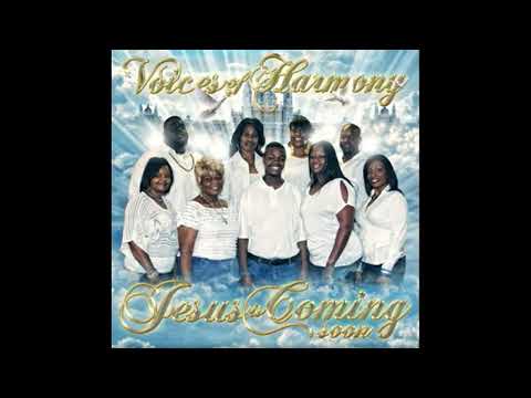 Voices of Harmony – Hallelujah (The Storm Is Passing Over)