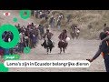 Dayana (10) en lama Jaimito winnen opvallende lama-race