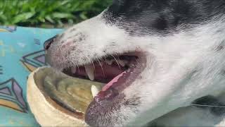 Vídeo sobre o produto