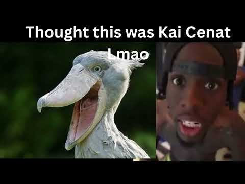 Juno Miles - (Not Like Us) Kai Cenat Diss (Official Video)