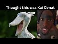 Juno Miles - (Not Like Us) Kai Cenat Diss (Official Video)
