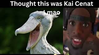 Cover art for yuno diss