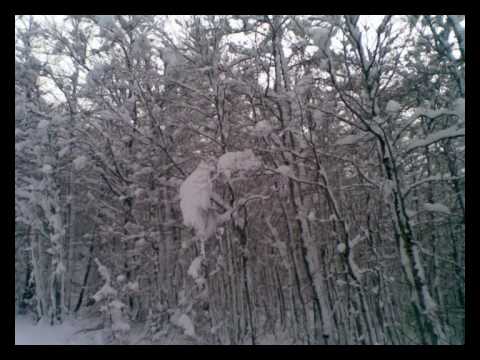 Smeki - Zima Niksicka