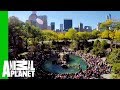 The Bronx Zoo Is Dedicated To Caring For Its Animals And Helping People Learn About Them
