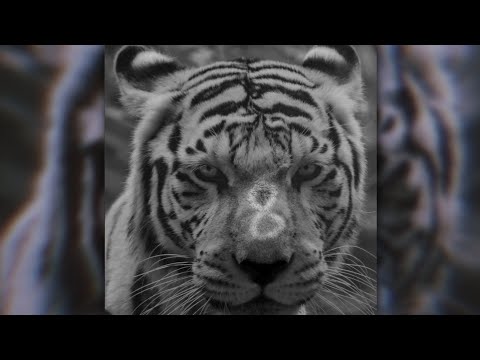 8corpses feat. JUPILUXE - RARE BREED (SLOWED)