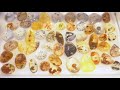 Sun Araw "Arrambe" (Official Music Video)