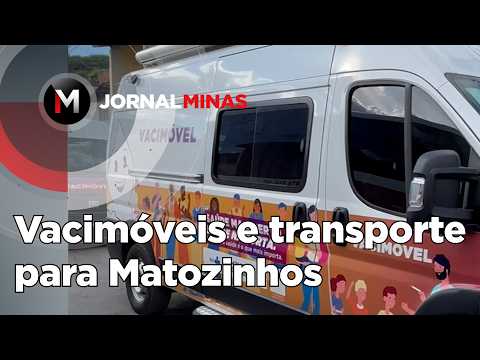Vacimóveis e transporte para Matozinhos - Jornal Minas