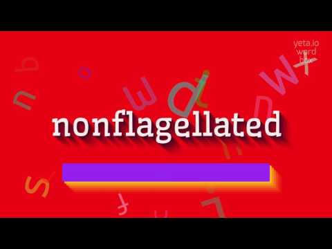 NONFLAGELLATED - HOW TO PRONOUNCE IT? #nonflagellated