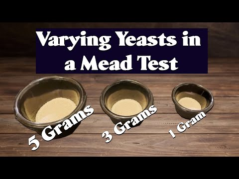 How Does Varying Yeast Effect a Mead? (1 vs 3 vs 5 Grams)