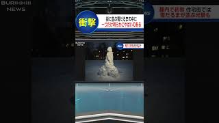 明らかにヤバい雪だるまが…#shorts #ニュース#放送事故#ブリッヒーニュース