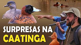 Miniatura do vídeo