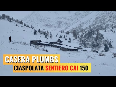 Ciaspolata a Casera Plumbs/Forni Avoltri/Trekking Friuli Venezia Giulia