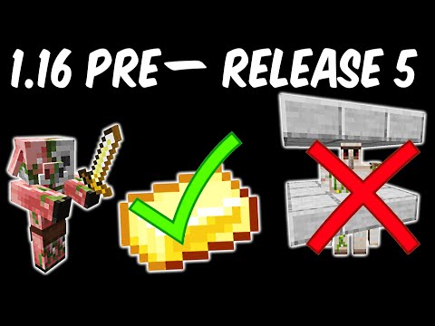1.16 Pre-Release 5 Minecraft  Review | Gold Ingot Drops, Iron Golem Nerf and Bugs? Video