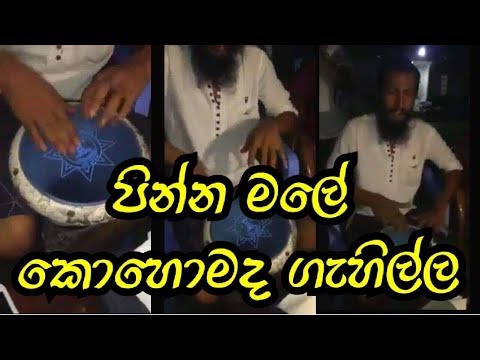 Pinna male | darbak part