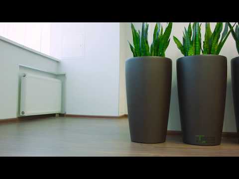 Видеообзор 1