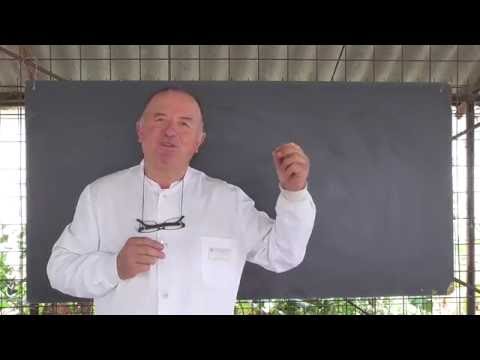 Lectia 1056 - Povestea cifrelor - Cum se formeaza numerele folosind cele zece simboluri