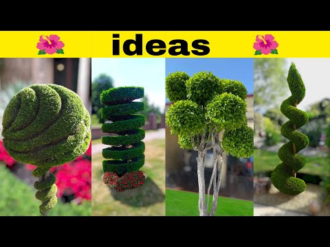 Ideas para Podar Arbustos, Árboles | arte topiario | podar plantas