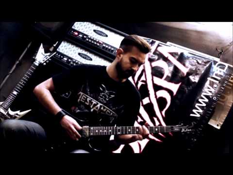 InDespair - Sign of the Raven (2015)