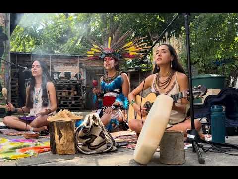 Cacaucita Medicina (Cacao Medicine Song)