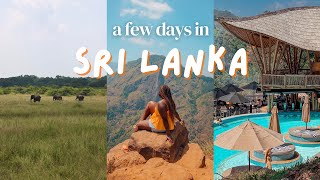 5 days in Sri Lanka - Kalpitiya, Wilpattu National Park and Ella