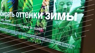 САКУРА НАЧАЛО