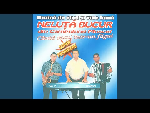 Pleaca ziua,noaptea-i rece