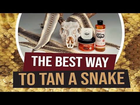 The BEST way to Tan a Snake
