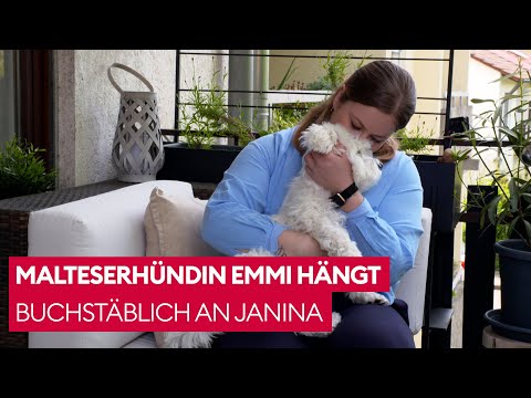 Hundetrainer Marcel stellt die Beziehung der beiden auf den Prüfstand 🫣 | Der Hundeprofi