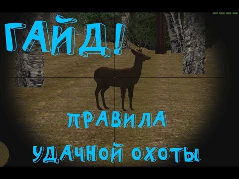 Правила удачной охоты! ГАЙД как правильно охотиться! Radmir CRMP